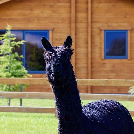 Deerbrooke Kaikoura Chalets - Chalet 1 エクステリア 写真