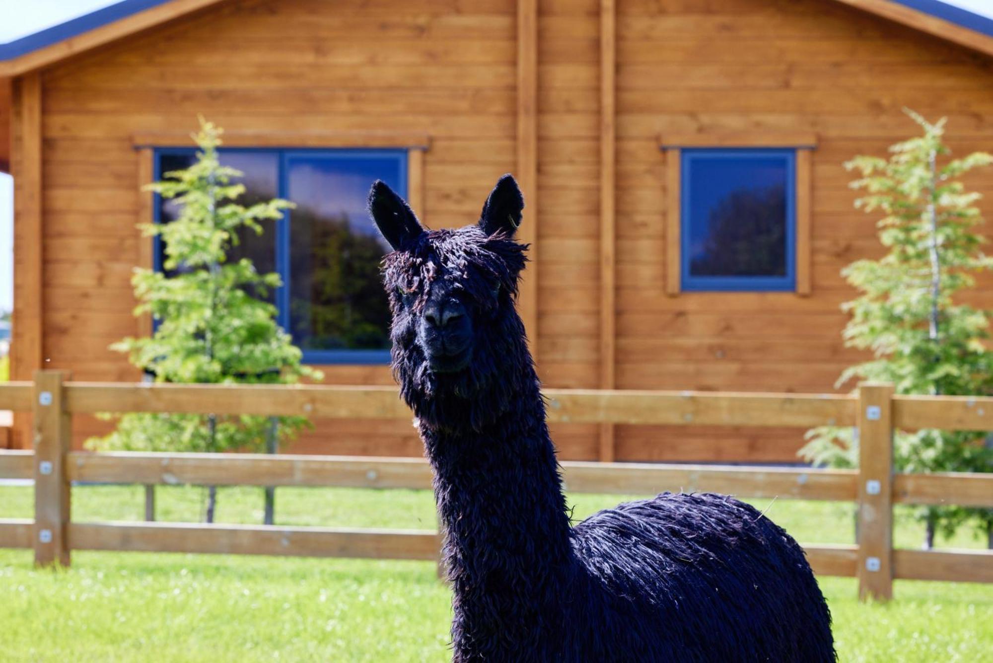 Deerbrooke Kaikoura Chalets - Chalet 1 エクステリア 写真