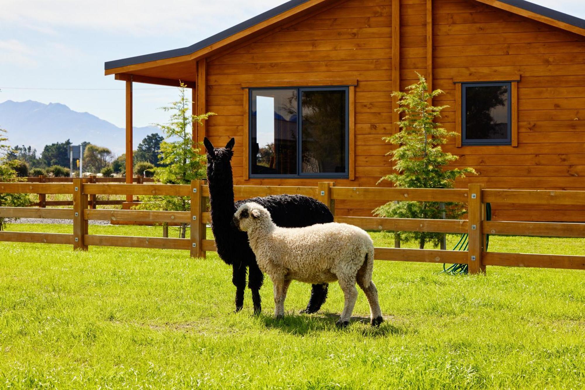 Deerbrooke Kaikoura Chalets - Chalet 1 エクステリア 写真